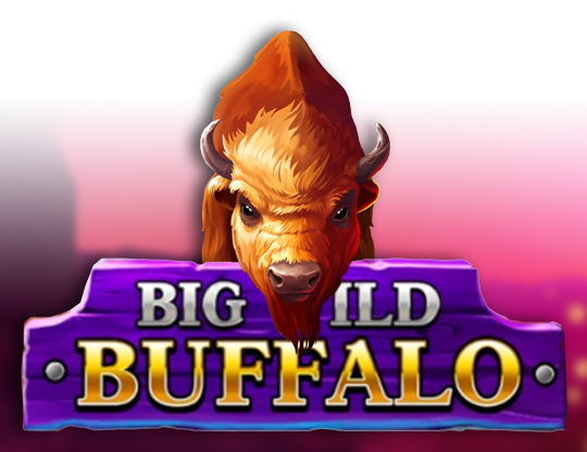 big wild buffalo